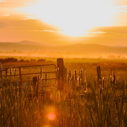 a sunset over a field